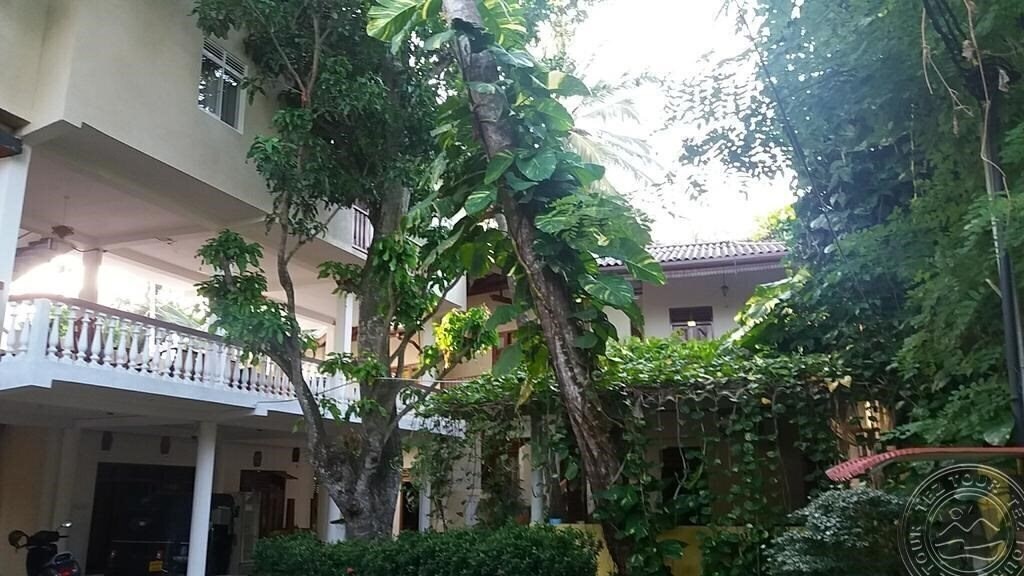 Территория Sea Breeze Guesthouse. 2*